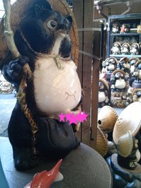 shigraki-tanuki-desu1.jpg